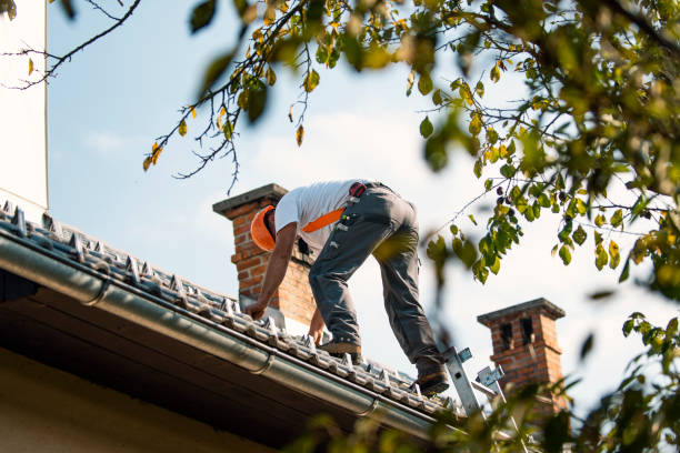 Best Storm Damage Roof Repair  in Ashland, VA